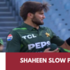 shaheen shah afridi