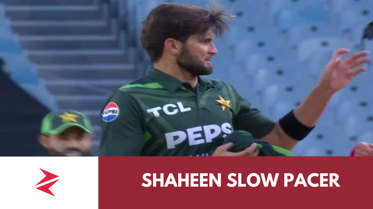 shaheen shah afridi