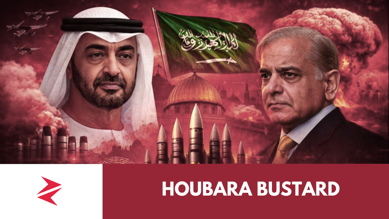 Political tension and nuclear escalation