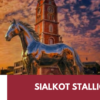 sialkot stallionz