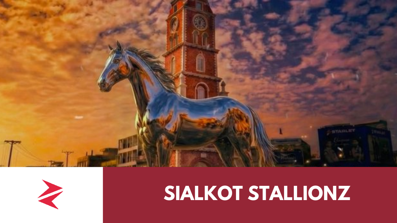 sialkot stallionz