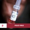 Child receiving oral polio vaccine drops during immunization campaign in Pakistan with visualized immune response concept