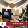 Rafhan Maize production facility with Nishat Group industrial operations, maize fields and export containers representing Pakistan's food processing industry.