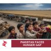 AI-generated editorial illustration: Conceptual editorial illustration for Pakistan Faces Hunger Gap. Not a documentary photograph.
