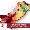 AI-generated editorial illustration: Conceptual editorial illustration for Stunting Crisis Across Pakistan. Not a documentary photograph.